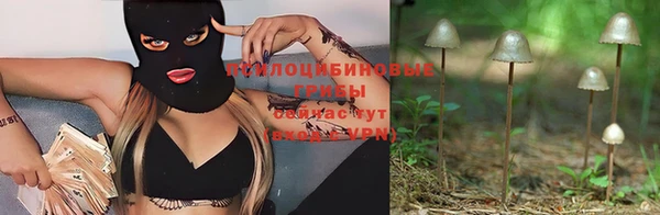 Альфа ПВП Алзамай
