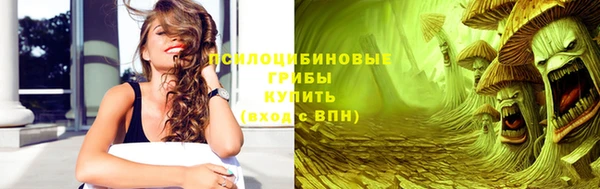 Альфа ПВП Алзамай