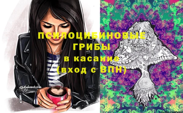 spice Алексин