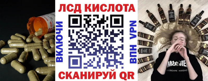 закладки  hydra ONION  Лсд 25 экстази ecstasy  Андреаполь 